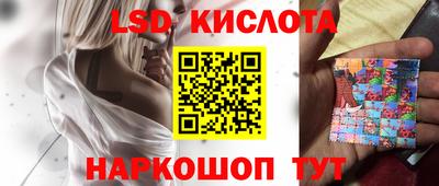 прущие грибы Кунгур