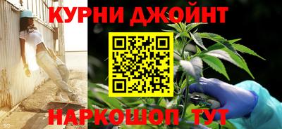 прущие грибы Кунгур