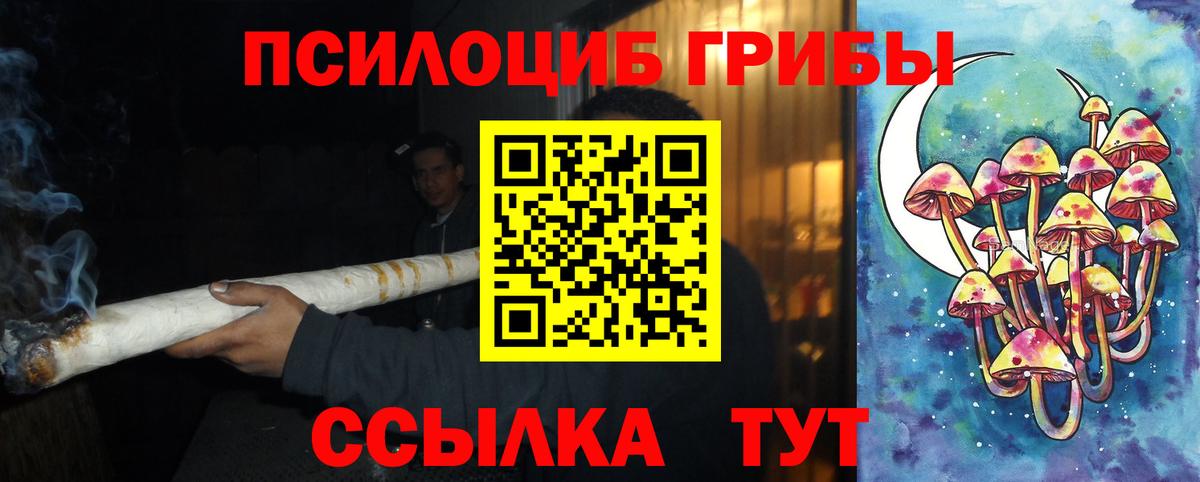 Галлюциногенные грибы Cubensis  Псилоцибиновые грибы прущие грибы  Зерноград  Вход с VPN 